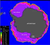 banquise antarctique