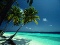 ocean indien