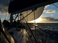 traversée atlantique transat