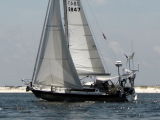 Ovni28 CanCan Floride