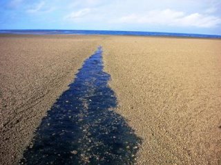 phénomène paranormal ou extraterrestres ?