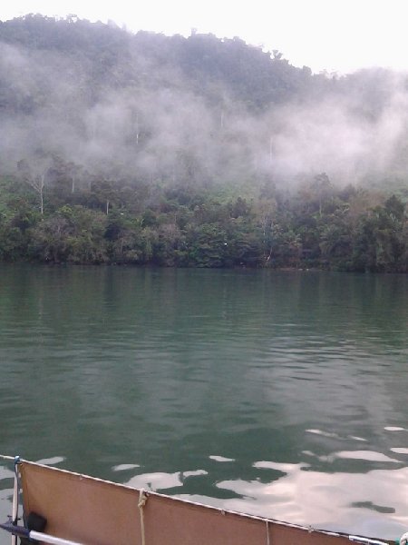 brume.jpg
